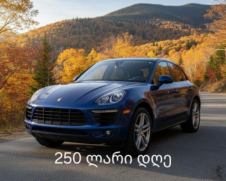 PORSCHE macan